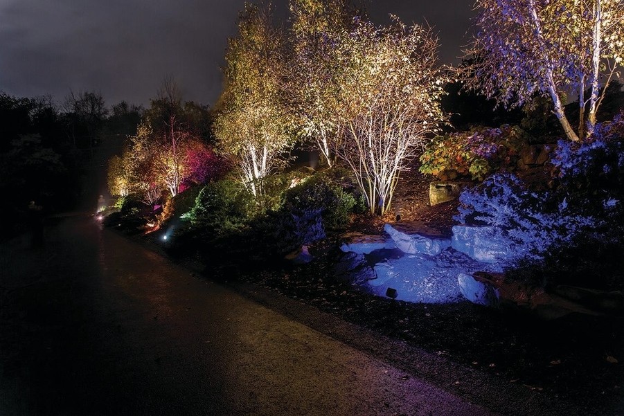 a landscape with trees and flowers illuminated by colored lights at night